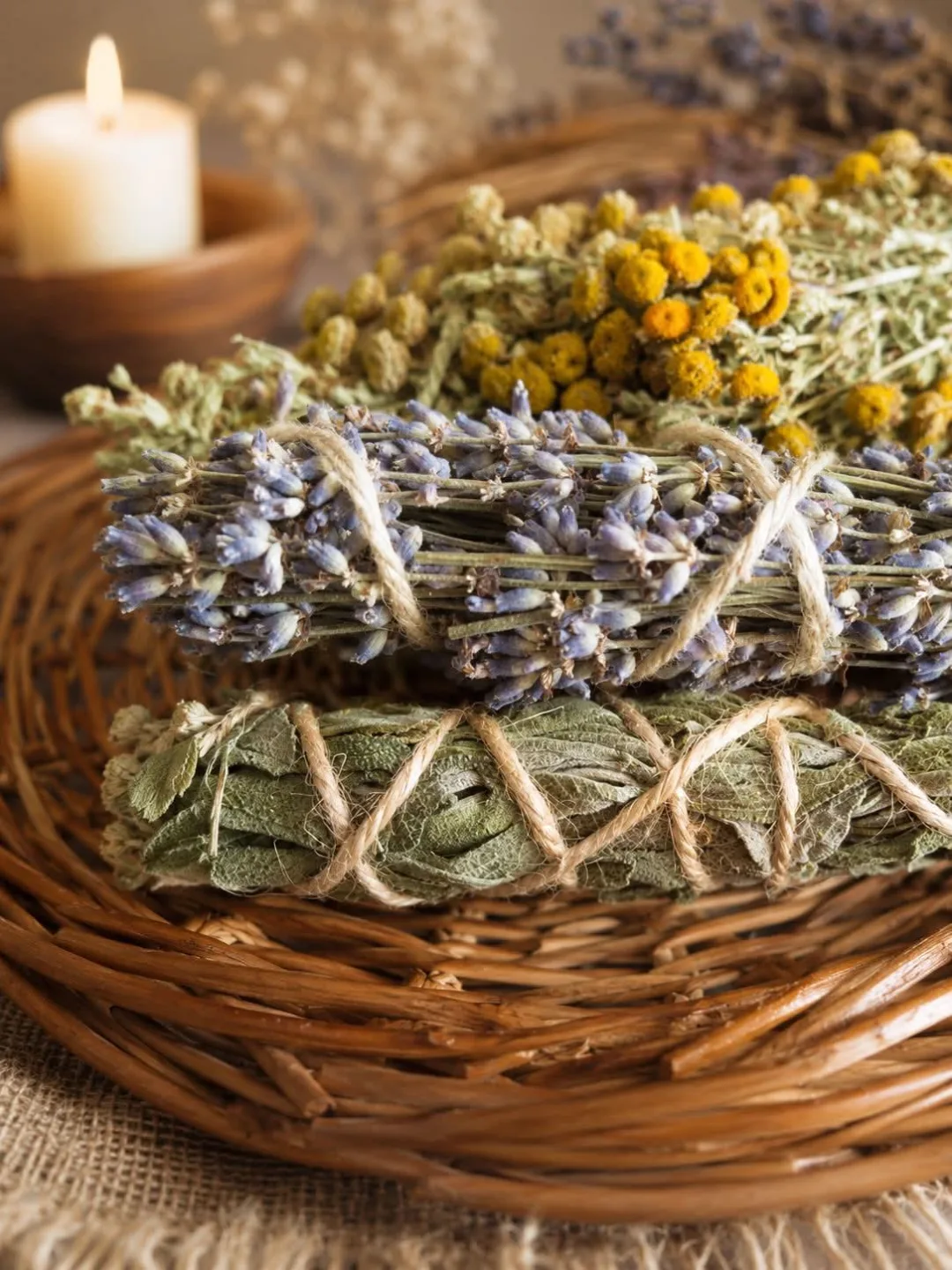 Biodynamiczna Terapie Naturalne – zdjęcie 8