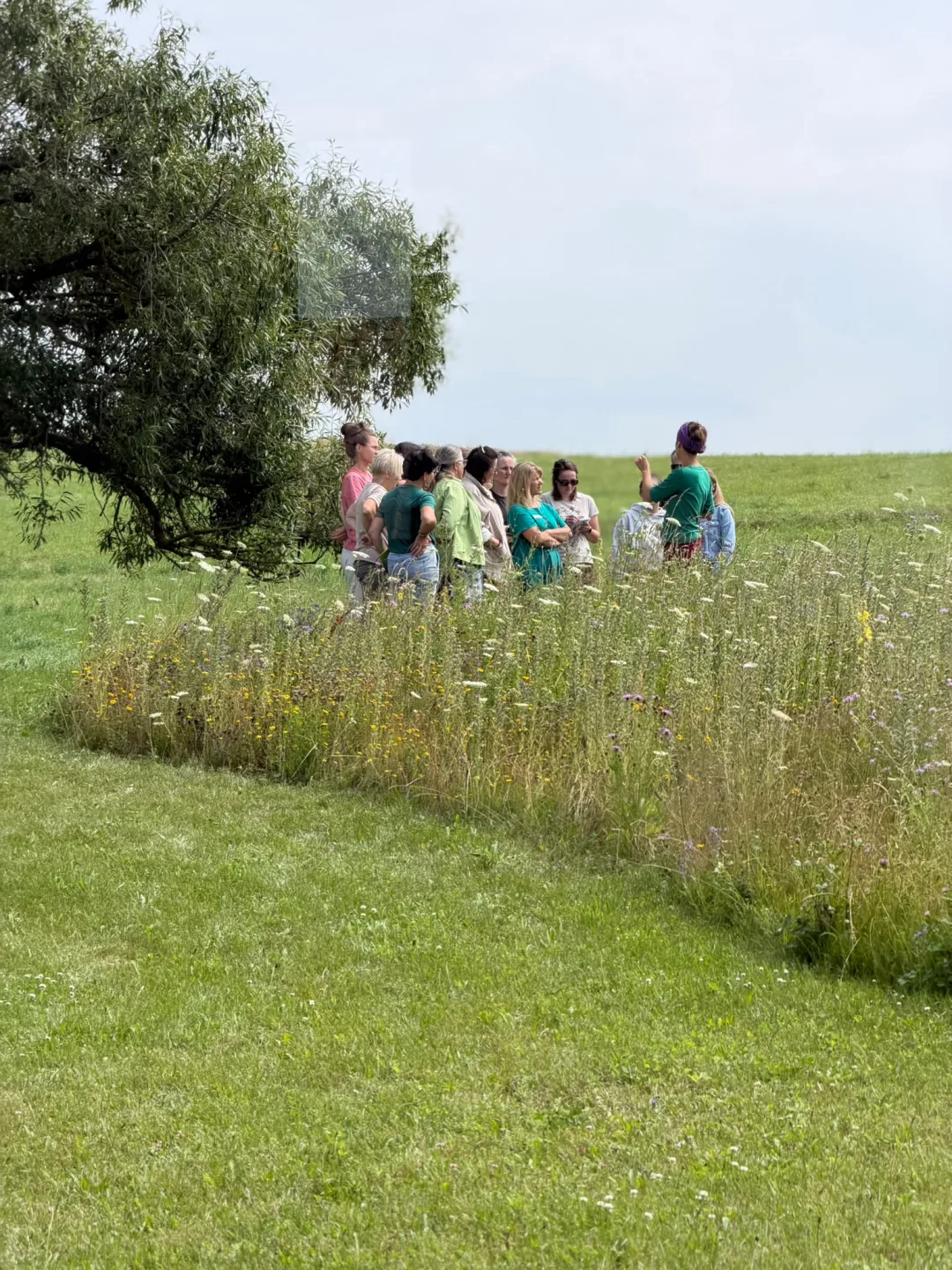 Biodynamiczna Terapie Naturalne – zdjęcie 2